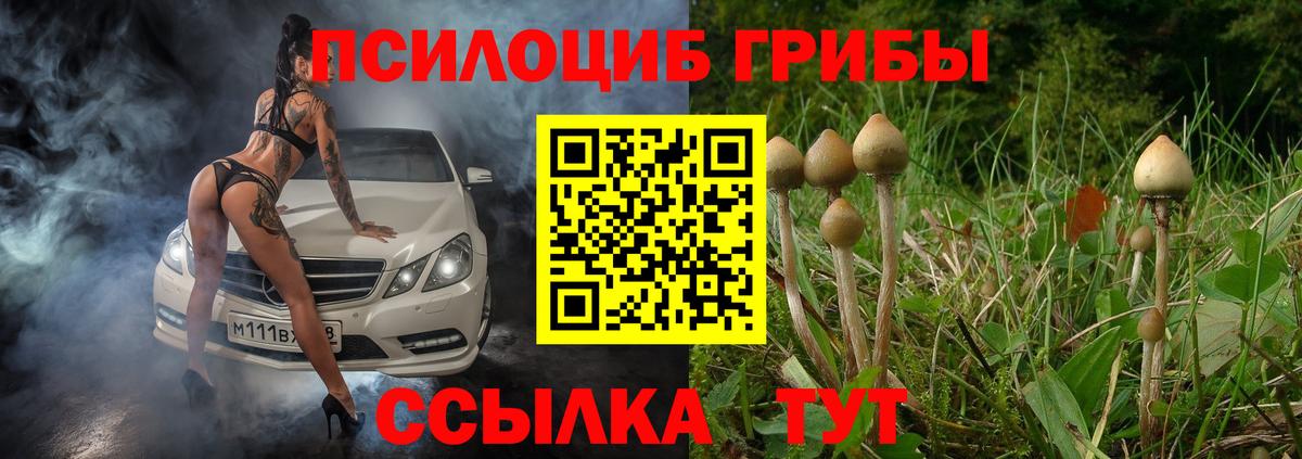 даркнет сайт  Псилоцибиновые грибы GOLDEN TEACHER  Вход с VPN  Фролово 